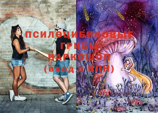 дурь Богородицк