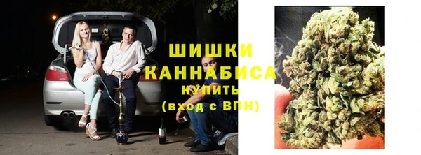 молекула духа Богородск