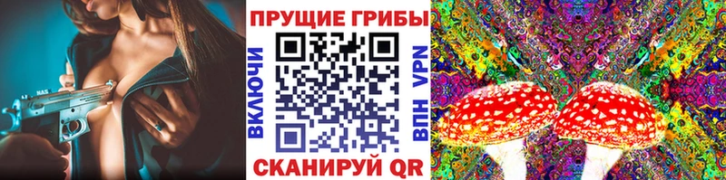 Псилоцибиновые грибы MAGIC MUSHROOMS  блэк спрут ONION  Новокубанск 